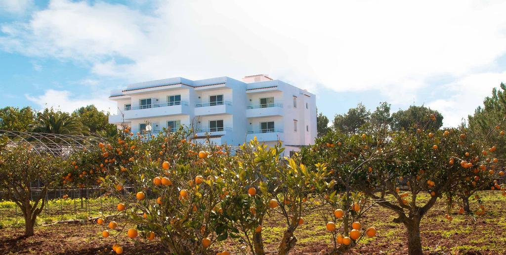 Sunset Oasis Ibiza Adults Only - New Rooms 2025 San Antonio  Exterior photo