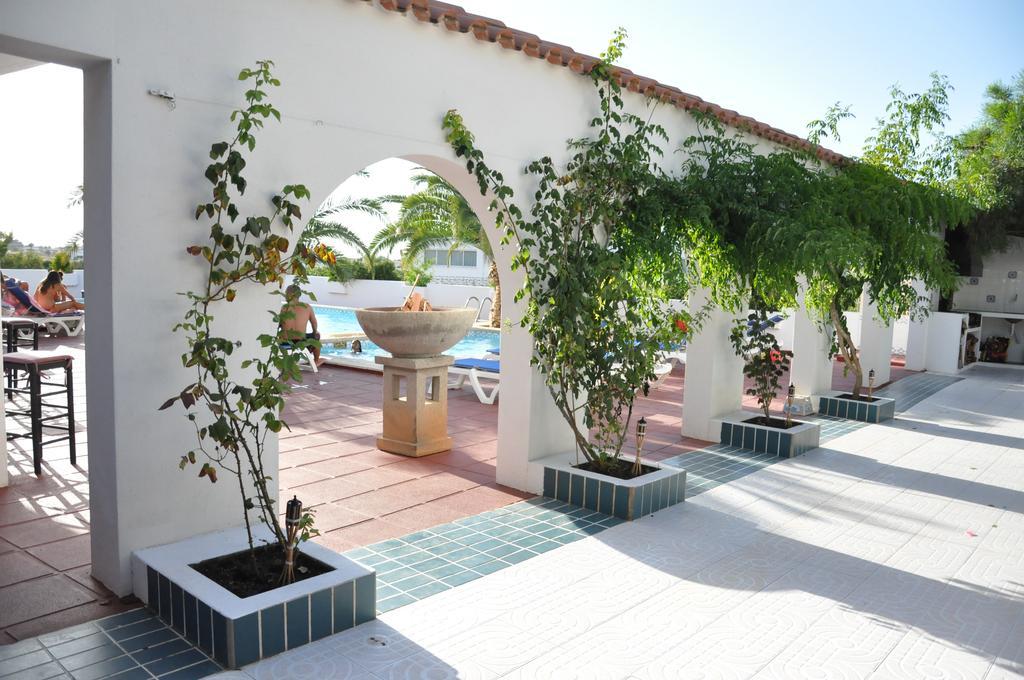 Sunset Oasis Ibiza Adults Only - New Rooms 2025 San Antonio  Exterior photo