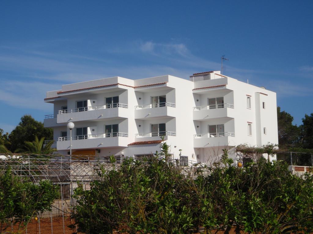Sunset Oasis Ibiza Adults Only - New Rooms 2025 San Antonio  Exterior photo